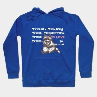 funny racoon animal slogan quote Hoodie